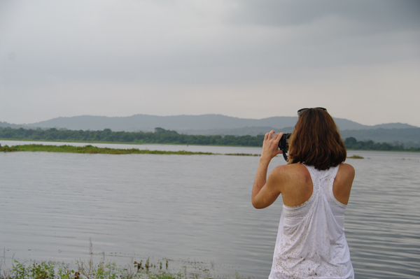 Sri Lanka: Polonnaruwa y safari en Minneriya